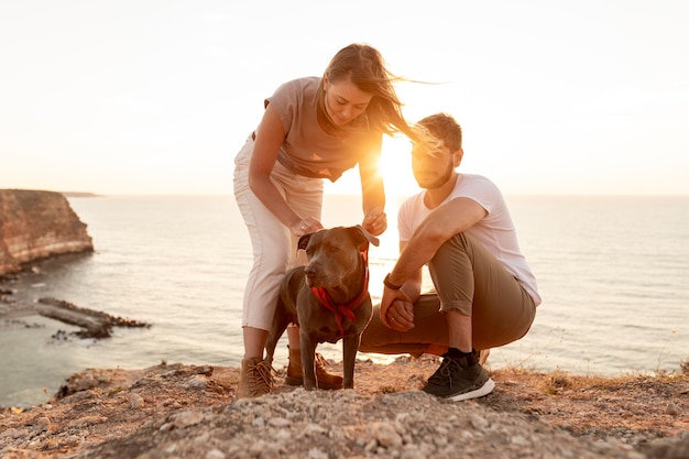 Foto pessoas brincando com seus cachorros ao pôr do sol