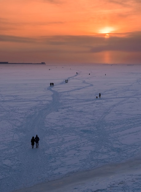 Pessoas caminham ao longo do mar báltico congelado, golfo da finlândia no inverno ao pôr do sol em são petersburgo rússia