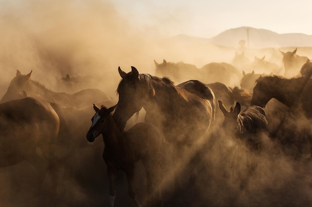Pessoas de pé no campo contra o céu
