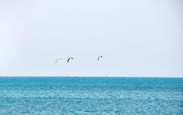 Pessoas desportistas windsurf e kitesurf na água azul do oceano conceito de esporte exótico extremo de verão