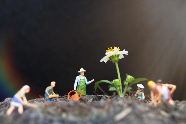 Foto pessoas em miniatura, jardineiros cuidam de plantas em crescimento no campo