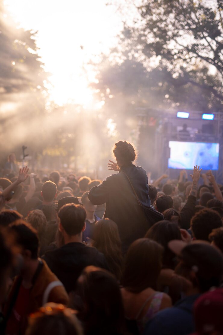 Foto pessoas em um concerto de música
