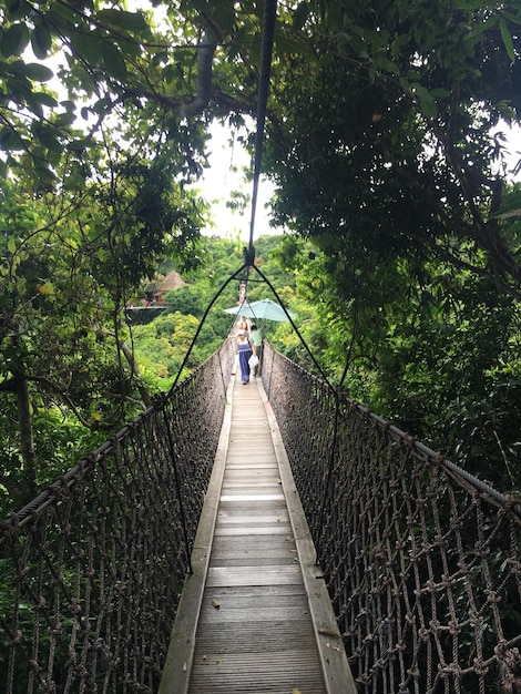 Pessoas em uma ponte pedonal na floresta