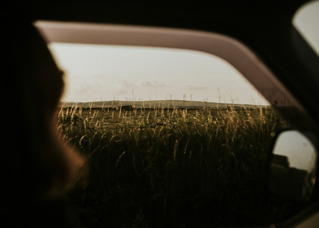 Pessoas em uma viagem de carro passando pela fazenda do moinho de vento