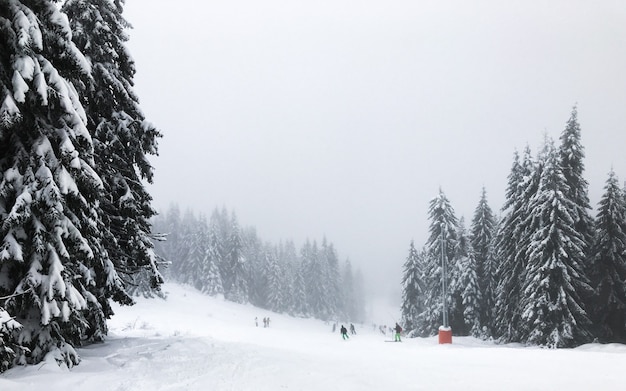 Pessoas esquiando ladeira abaixo, composição de inverno, recreação, paisagem montanhosa