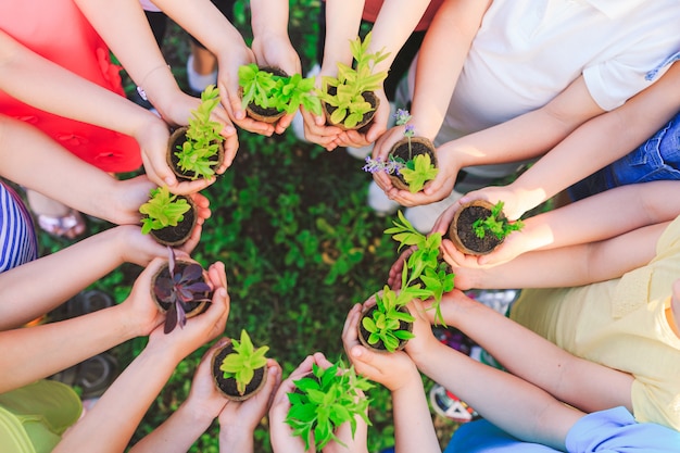 Pessoas Mãos Colocando Planta Nutrir Ambiental