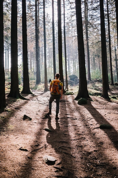 Foto pessoas na rua em meio a árvores na floresta