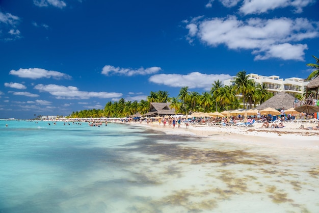 Pessoas nadando perto da praia de areia branca com bar de bangalô de guarda-chuvas e palmeiras de coco mar turquesa do Caribe Ilha de Isla Mujeres Mar do Caribe Cancun Yucatan México