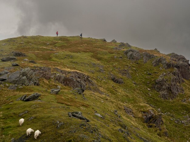 Pessoas no campo contra o céu