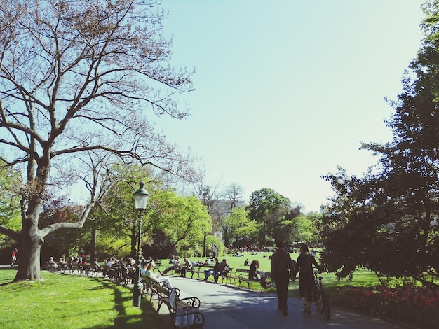 Foto pessoas no stadtpark contra o céu claro