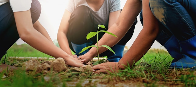 Pessoas plantando árvore na natureza para salvar a terra