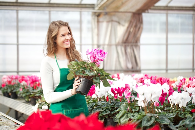 Pessoas que trabalham em um viveiro de plantas