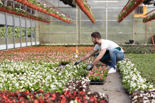 Pessoas que trabalham em uma loja de jardinagem