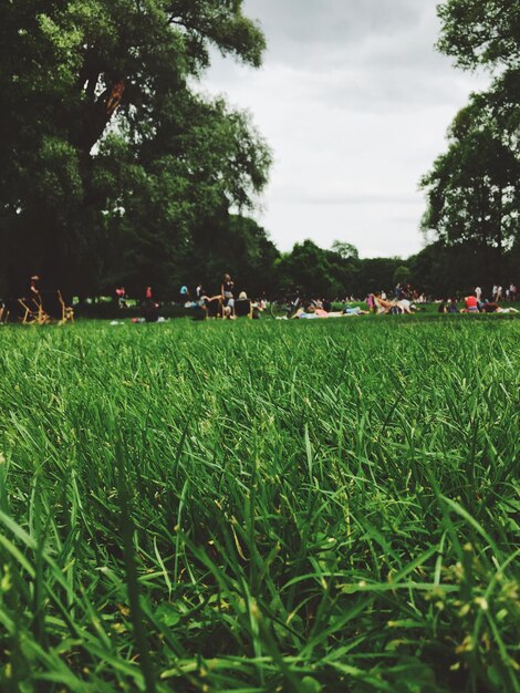 Foto pessoas relaxando na grama no parque