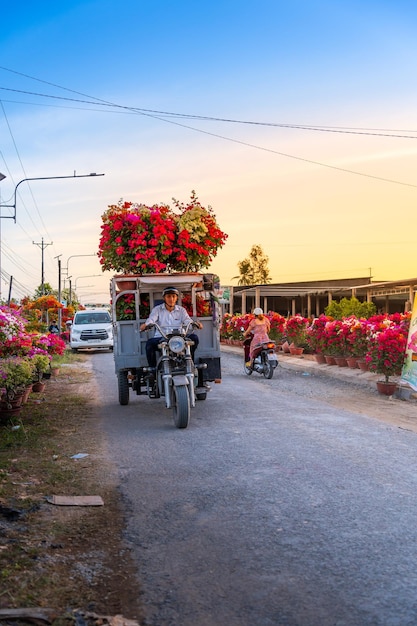 Foto pessoas vendendo flores de bougainvillea no jardim de flores cho lach em ben tre, vietnã preparando flores de transporte para o mercado para venda nas férias de tet os jardins são um destino turístico