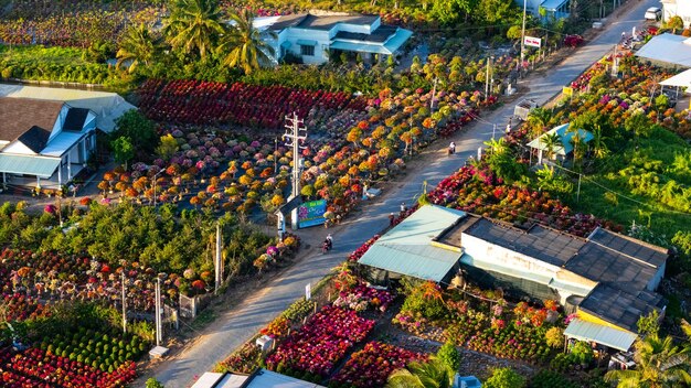 Pessoas vendendo flores de buganvilla no jardim de flores Cho Lach em Ben Tre, Vietnã, preparando flores de transporte para o mercado para venda nas férias de Tet. Os jardins são um destino turístico