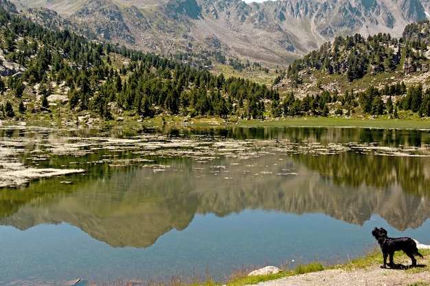 Pessons, lago, andorra