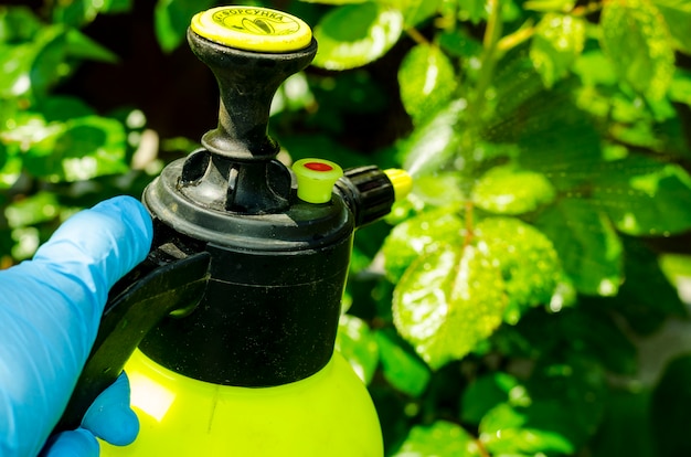 Pestizidbehandlung von Gartenblumen, Bäumen und Pflanzen