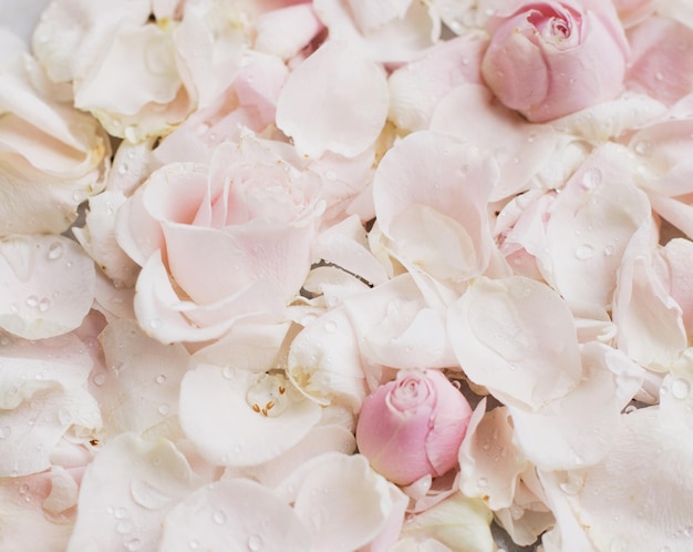 Pétalas de flores rosas em férias de casamento de mármore e conceito de jardim floral
