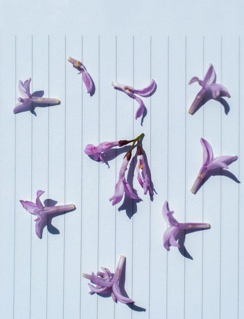 Pétalas de flores sobre um fundo de papel