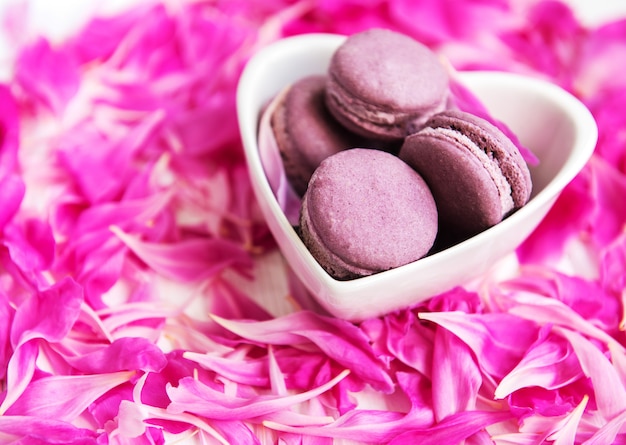 Pétalas de peônia rosa com macarons