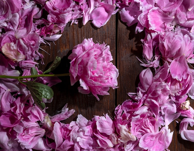 Pétalas de peônias rosa em um fundo de madeira. Lindo fundo natural