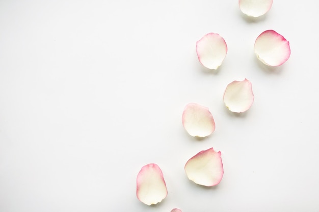 Pétalas de rosa branca em fundo branco conceito do Dia dos Namorados