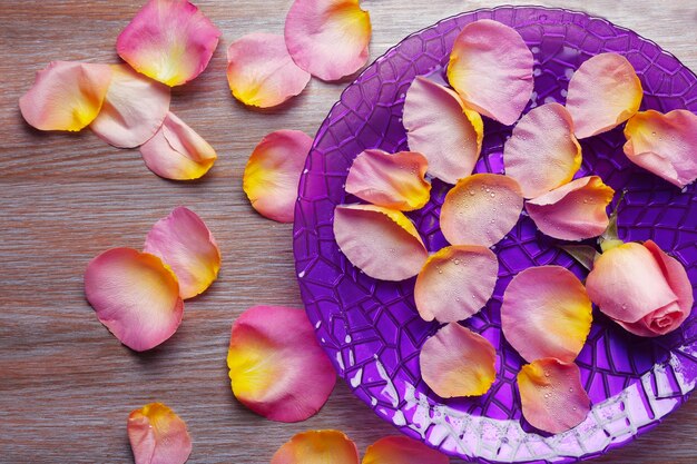 Pétalas de rosa cor de rosa em tigela roxa com água no fundo de madeira