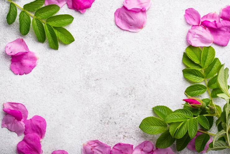 Foto pétalas de rosa mosqueta rosa com folhas