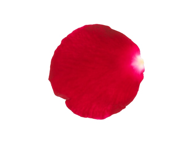 Pétalas de rosa vermelhas isoladas sobre um fundo branco