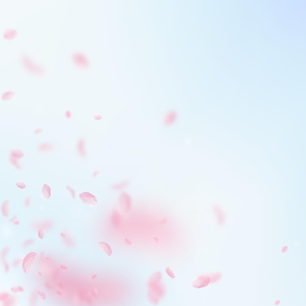 Pétalas de Sakura caindo Canto romântico de flores cor-de-rosa Pétalas voadoras no fundo quadrado do céu azul Conceito de romance de amor Convite de casamento real
