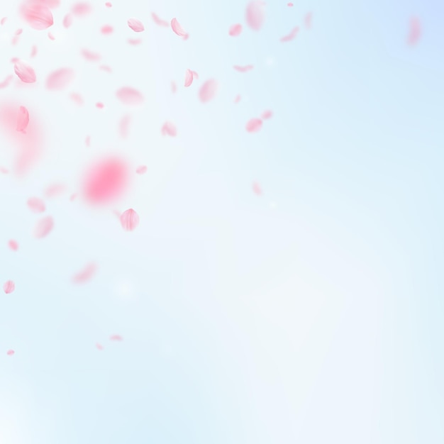 Pétalas de Sakura caindo Canto romântico de flores rosa Pétalas voadoras no fundo quadrado do céu azul Conceito de romance de amor Convite de casamento artístico
