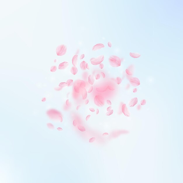 Pétalas de sakura caindo. explosão romântica de flores cor de rosa. pétalas de voo no fundo quadrado do céu azul. amor, conceito de romance. convite de casamento encantador.