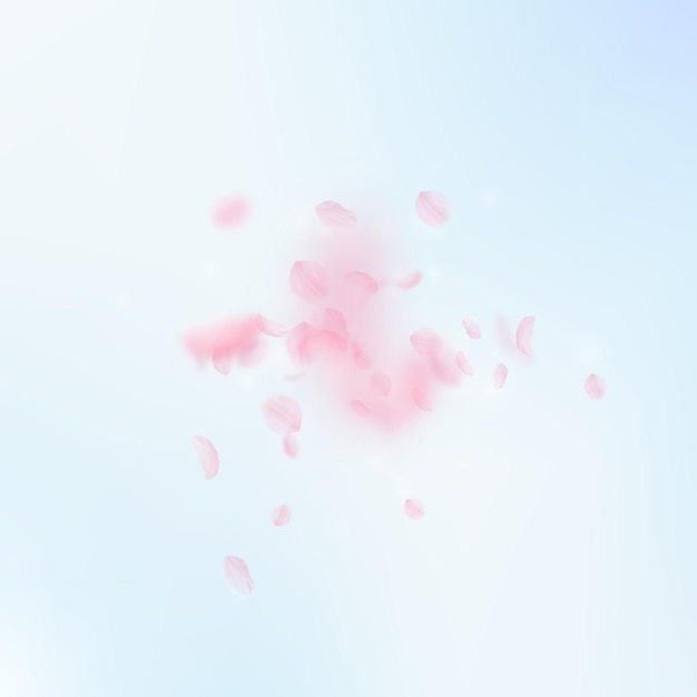 Pétalas de sakura caindo explosão romântica de flores cor de rosa pétalas voadoras no fundo quadrado do céu azul conceito de romance de amor convite de casamento deslumbrante