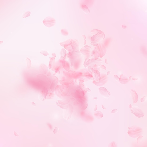 Pétalas de sakura caindo. explosão romântica de flores cor de rosa. pétalas voadoras no fundo quadrado rosa. amor, conceito de romance. convite de casamento fabuloso.