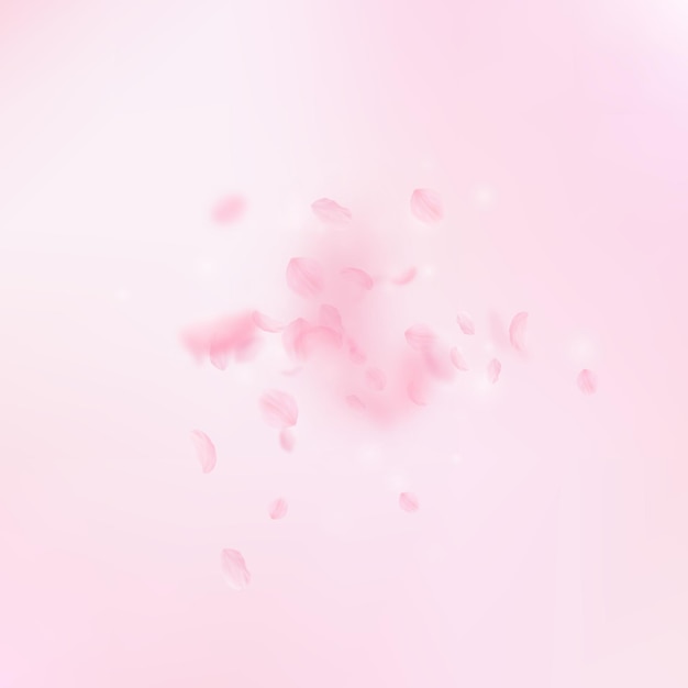 Pétalas de Sakura caindo Explosão romântica de flores rosa Pétalas voadoras no fundo quadrado rosa Conceito de romance de amor Convite de casamento excepcional