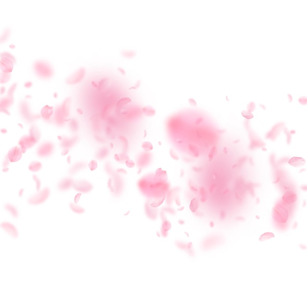 Foto pétalas de sakura caindo flores cor-de-rosa românticas caindo chuva pétalas voadoras no fundo quadrado branco conceito de romance de amor convite de casamento impressionante