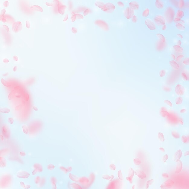 Pétalas de Sakura caindo. Quadro romântico de flores cor de rosa. Pétalas de voo no fundo quadrado do céu azul. Amor, conceito de romance. Convite de casamento moderno.