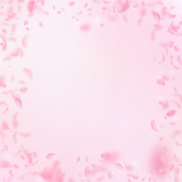 Pétalas de Sakura caindo Quadro romântico de flores rosa Pétalas voadoras no fundo quadrado rosa Conceito de romance de amor Convite de casamento bonito