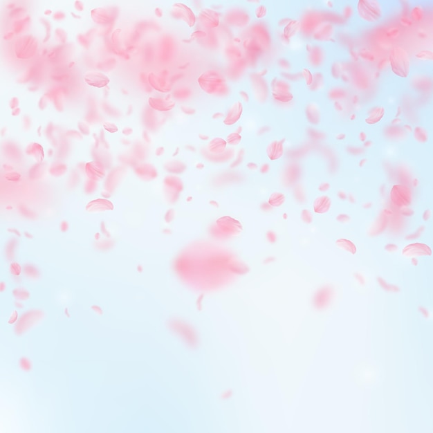 Pétalas de Sakura caindo. Românticas flores cor de rosa chuva caindo. Pétalas de voo no fundo quadrado do céu azul. Amor, conceito de romance. Convite de casamento justo.
