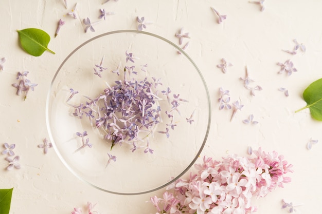 Pétalos de color lila en plato de cristal en blanco