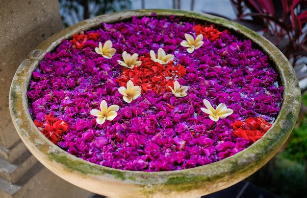 Pétalos de flores en un cuenco