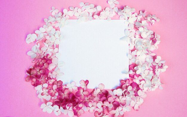 Pétalos de flores sobre fondo rosa, tarjeta de texto del día de San Valentín