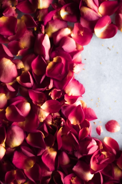 Pétalos de rosa en mármol flatlay vacaciones de boda y concepto de estilo de fondo floral