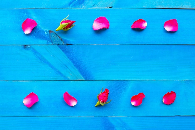 Pétalos de rosa sobre fondo de madera azul.