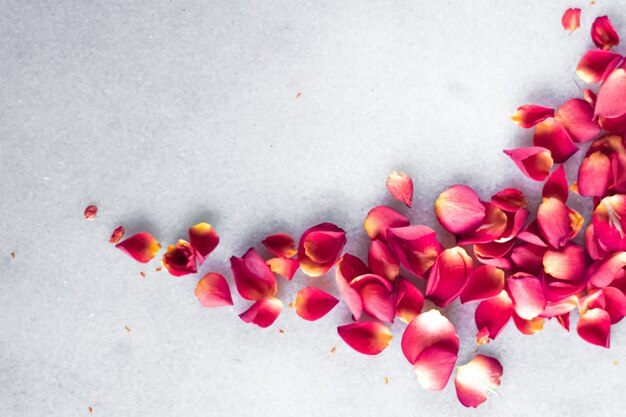 Pétalos de rosa sobre fondo de mármol decoración floral y boda flatlay tarjeta de felicitación de vacaciones telón de fondo para ...