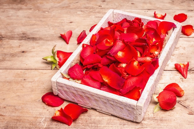 Pétalos de rosas rojas frescas en cajas de madera. Flores fragantes, luz dura de moda, sombra oscura. Concepto de spa natural o preparación de agua de rosas. Mesa de madera antigua, lugar para texto