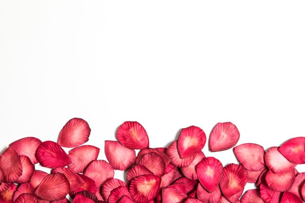 Pétalos de rosas rojas sobre un fondo completamente blanco San Valentín romántico