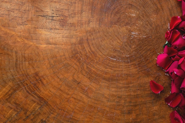 Pétalos de rosas rojas sobre fondo de madera, espacio para texto. Concepto romántico de San Valentín