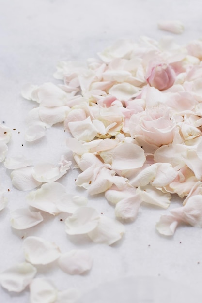 Pétalos de rosas en vacaciones de bodas de mármol y concepto de jardín floral
